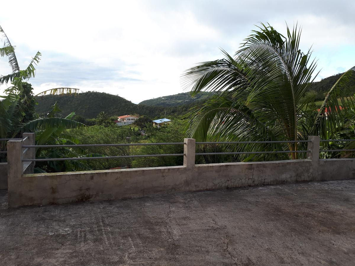 Refuge De Joel Bed & Breakfast Case-Pilote Ngoại thất bức ảnh