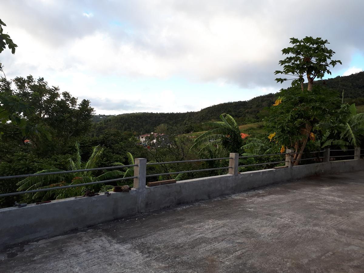 Refuge De Joel Bed & Breakfast Case-Pilote Ngoại thất bức ảnh