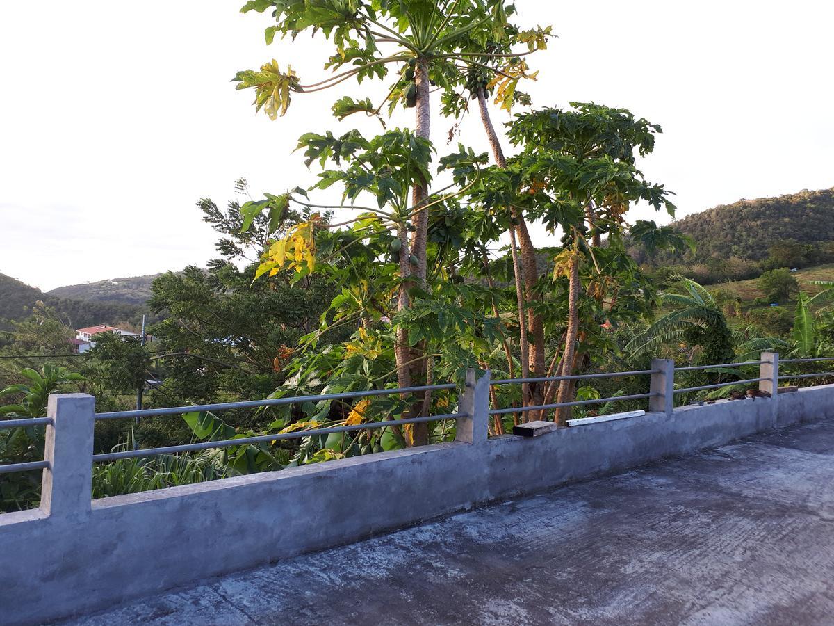 Refuge De Joel Bed & Breakfast Case-Pilote Ngoại thất bức ảnh